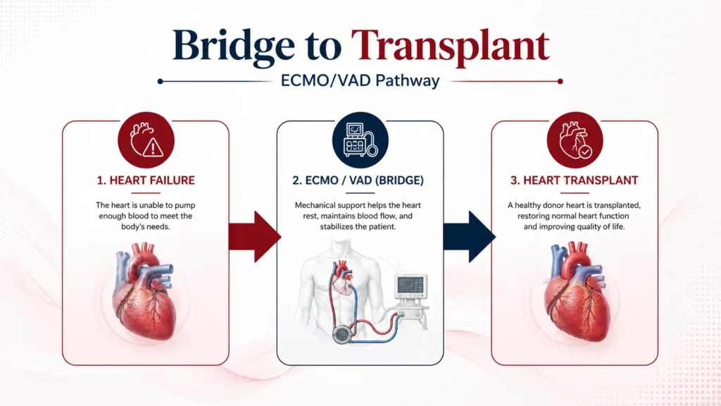 Temporary mechanical support (ECMO or VAD) that sustains heart function while a patient awaits a suitable donor heart. best doctor for heart transplant in delhi. best doctor for heart disease in gurgaon. 