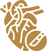 Coronary Artery Surgery