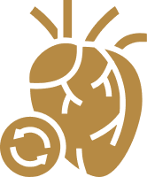 Transplantation & Advanced Heart Failure